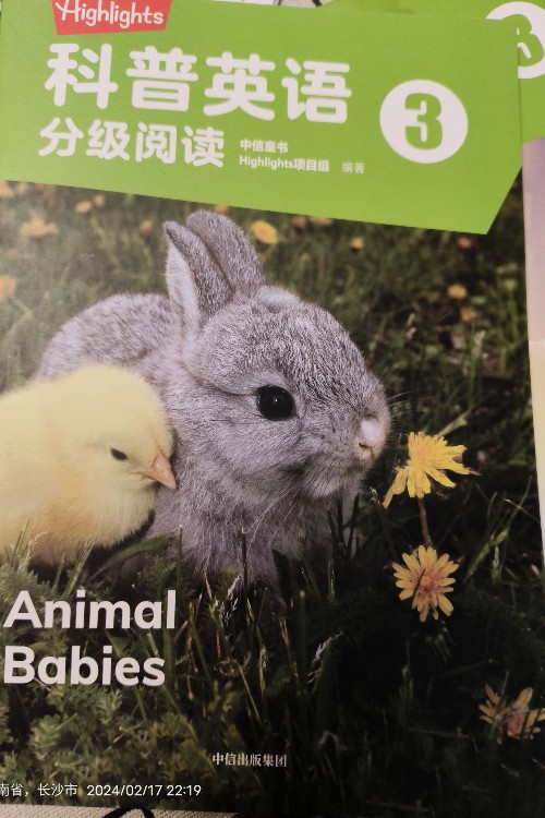 animal babies