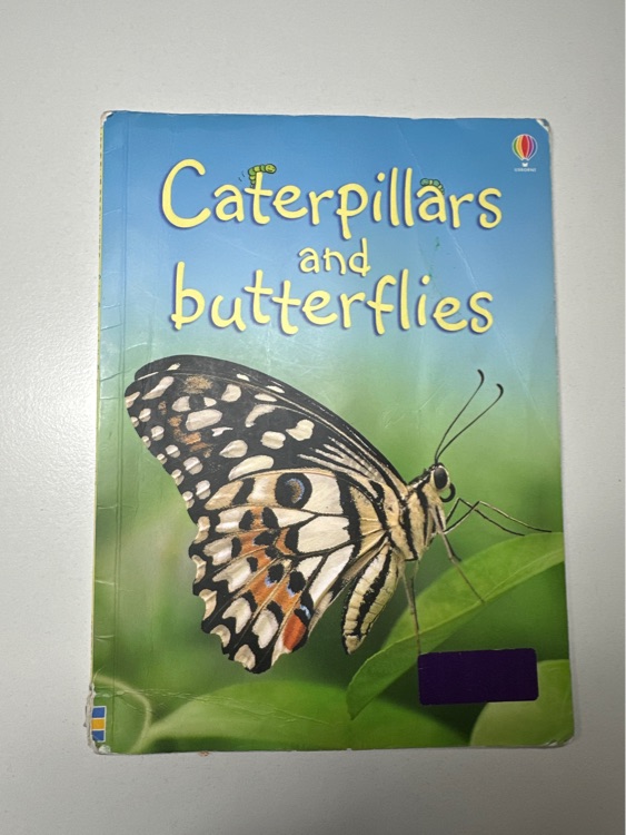 caterpillars and butterflies