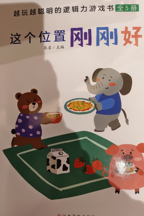 邏輯力游戲書(shū):這個(gè)位置剛剛好