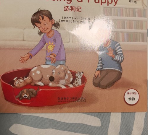 Choosing a Puppy