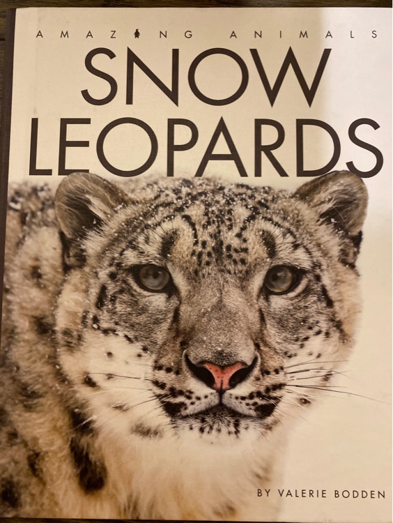 Snow leopards