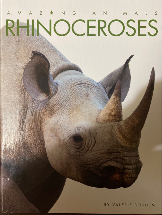 Rhinoceroses