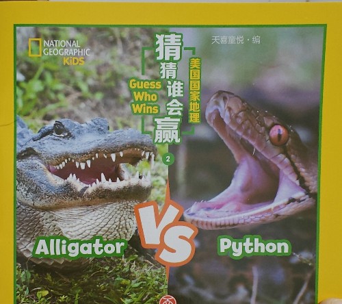 Alligator VS Python