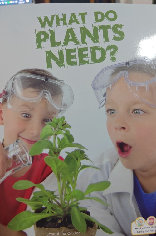 What Do Plants Need?