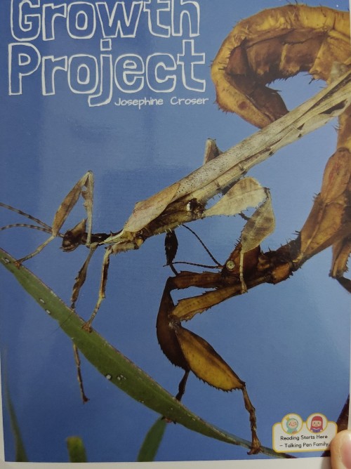 Growth Project