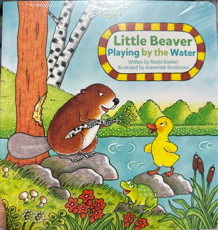 Little beaver playing by the water