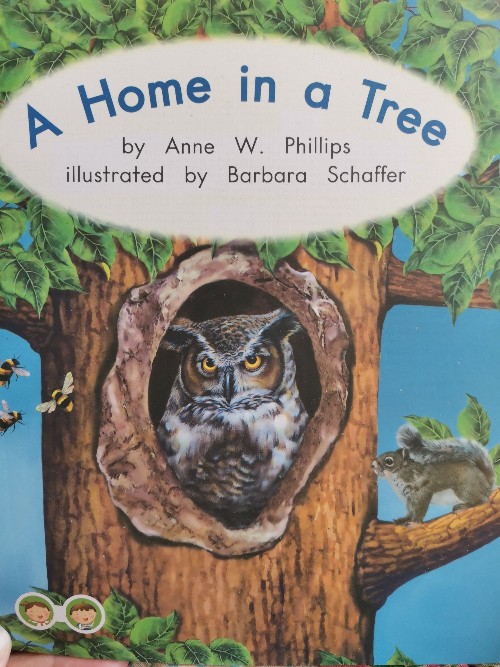 a home in a tree