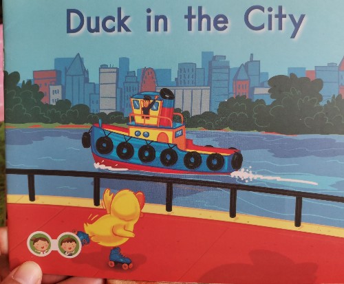 Duck in the city