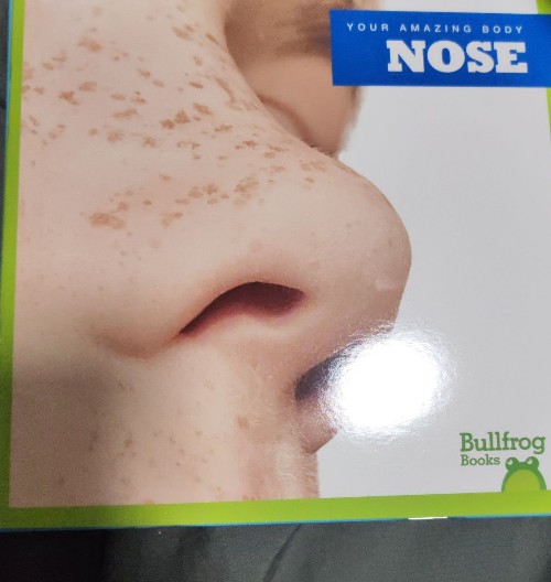 nose