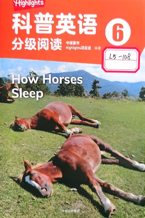 how horses sleep