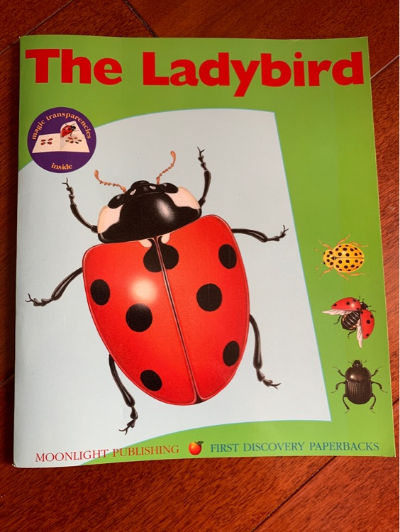 The Ladybird (First Discovery)