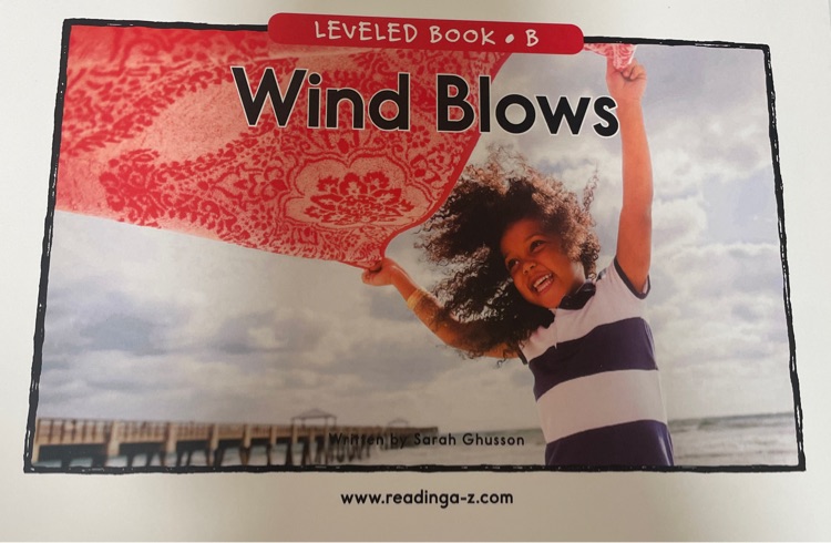 Wind blows