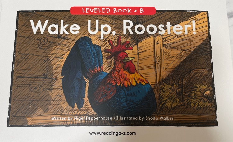 Wake up rooster