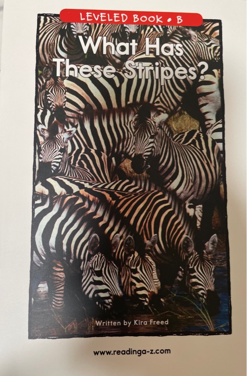 What has these stripes?
