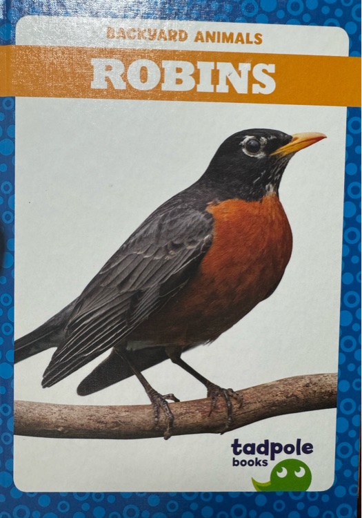 Robins