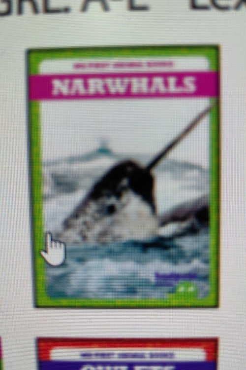 NARWHALS