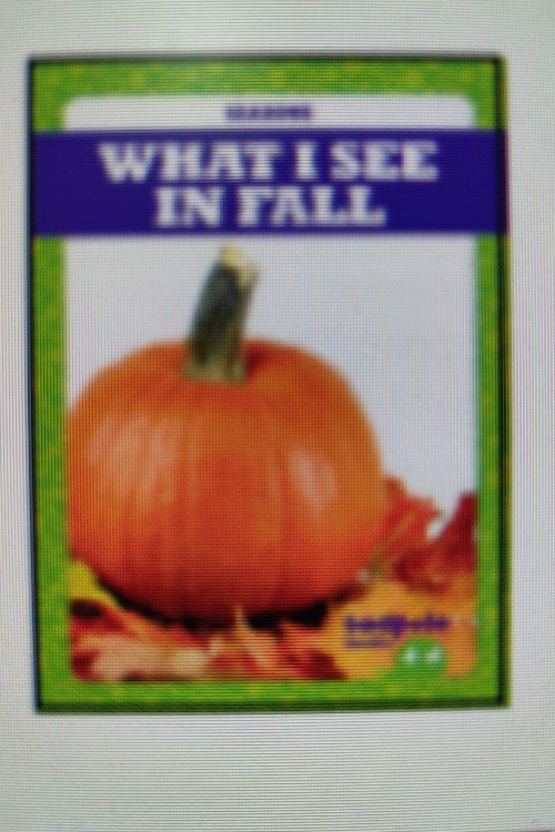 WHAT I SEE IN FALL