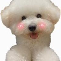 芮芮的超級學(xué)習(xí)計