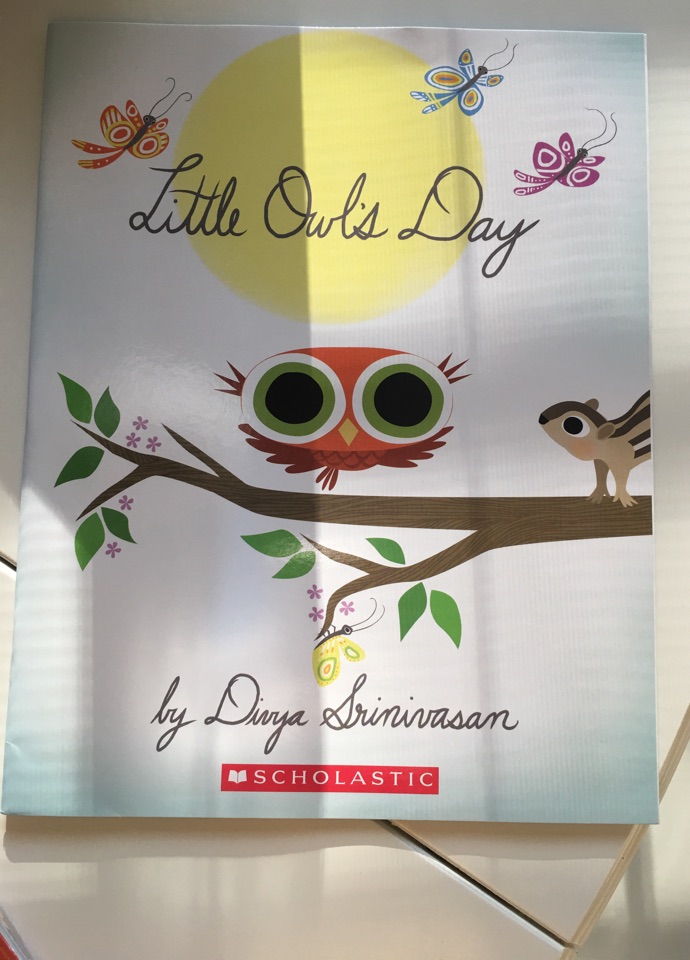 Little owl's day