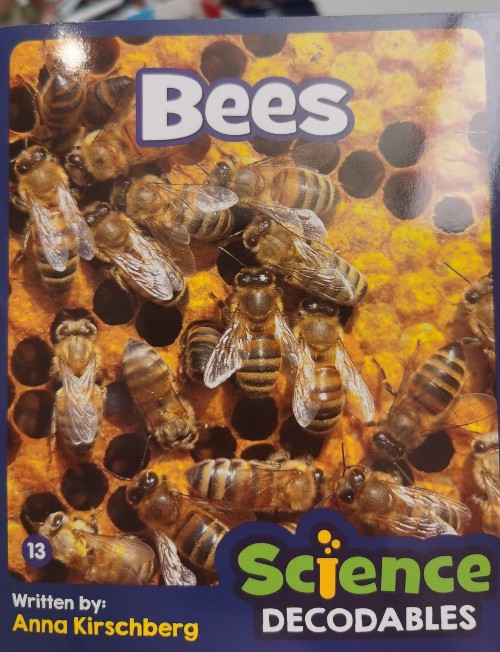 bees