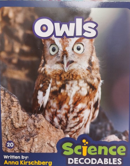 owls