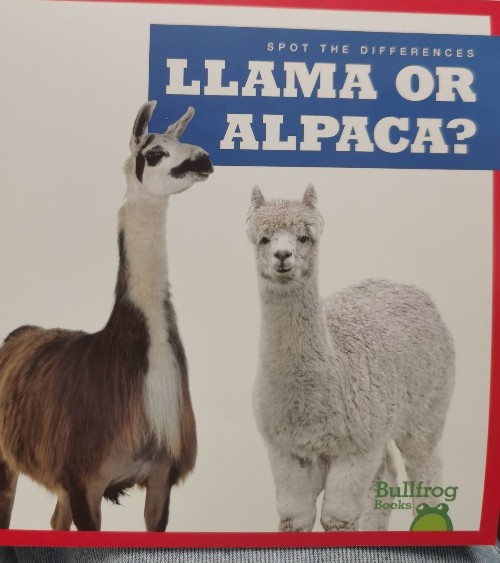 llama or alpaca