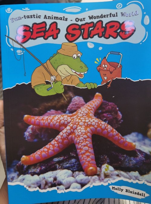 sea stars