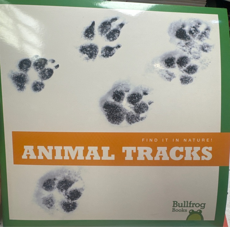 Animal tracks