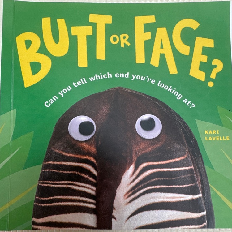 Butt or face