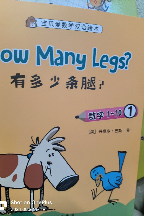 how many legs