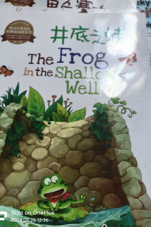 the frog in the shallow well