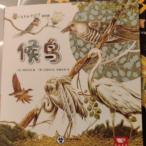 賓果兒童自然科學(xué)第四輯候鳥