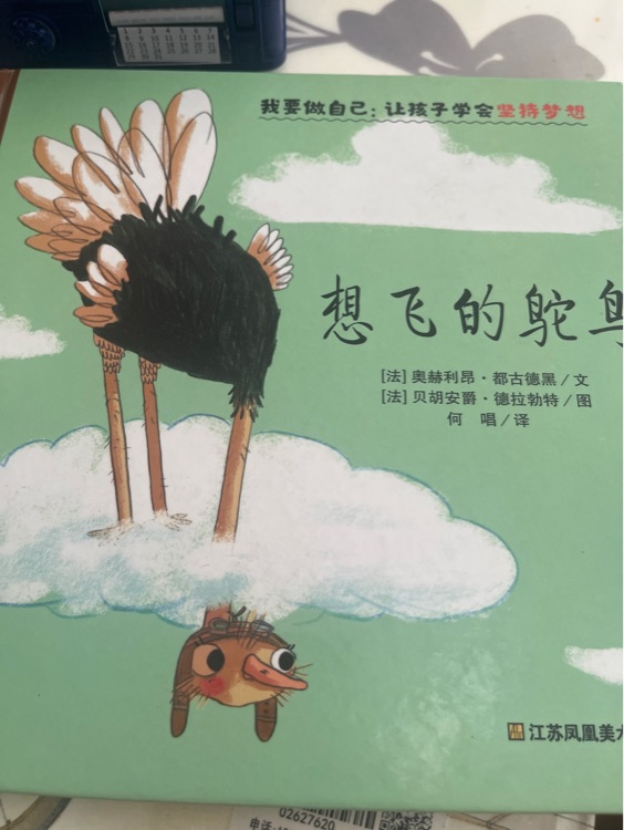 想飛的鴕鳥(niǎo)