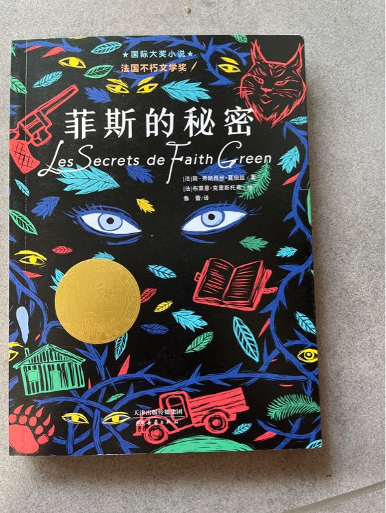 國際大獎(jiǎng)小說·升級版: 菲斯的秘密