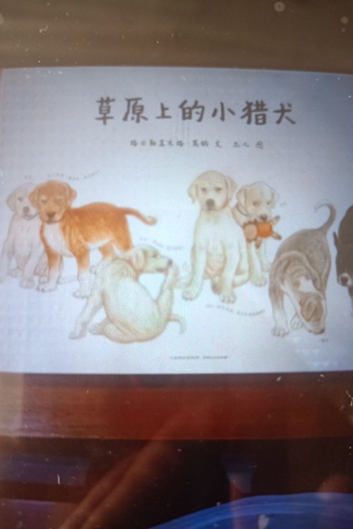 草原上的小獵犬