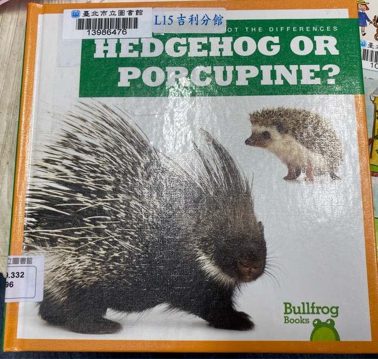 Hedgehog or porcupine