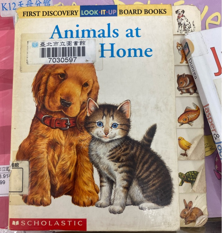 Animals at home