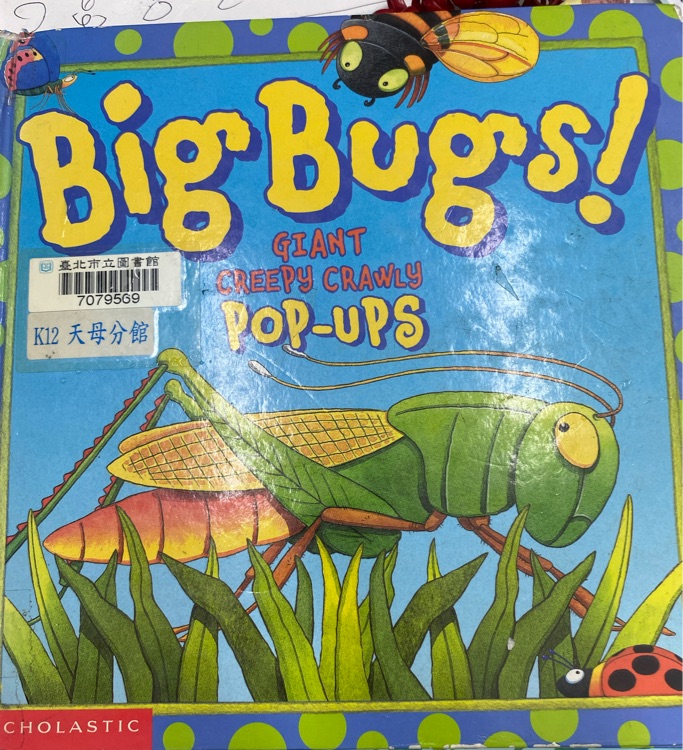 Big bugs giantcreepy crawly pop ups