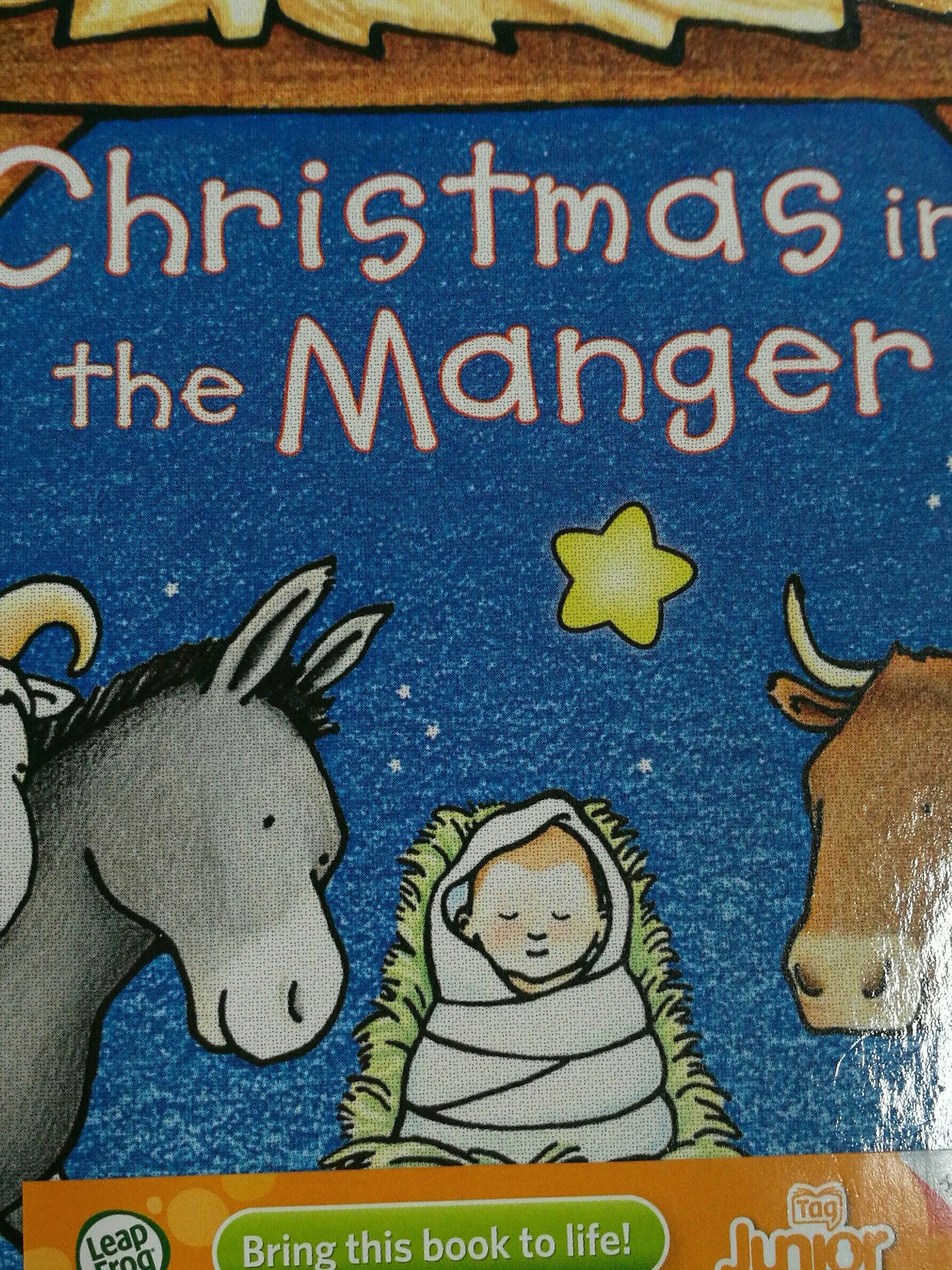 christmas in the manger