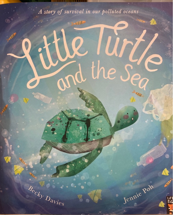 little turtle and the sea