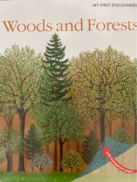 Woods and forests