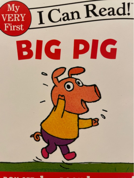 Big pig