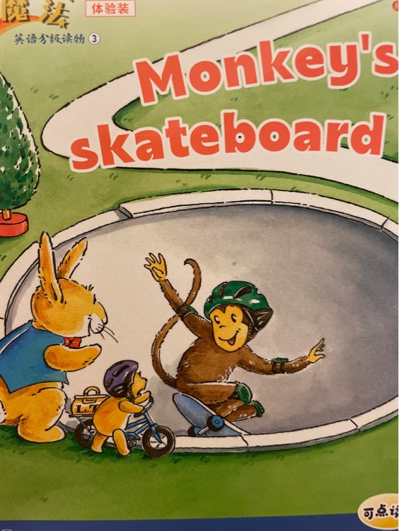 Monkey's skateboard