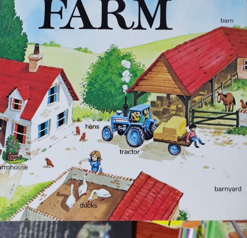 Farm (Wide Wide World)