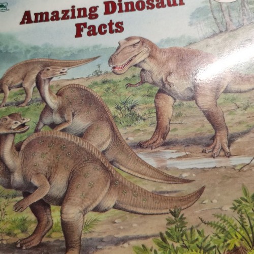 Amazing Dinosaur Facts