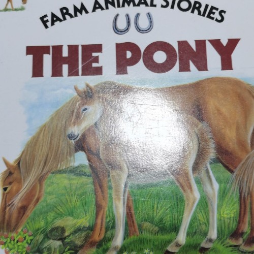 Farm Animal Stories: The Pony