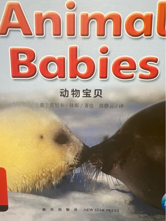 Animal babies