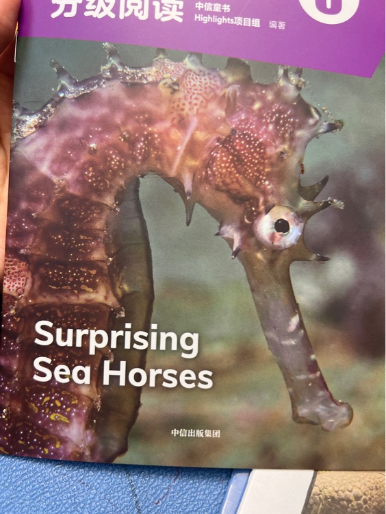 Surprising sea horses