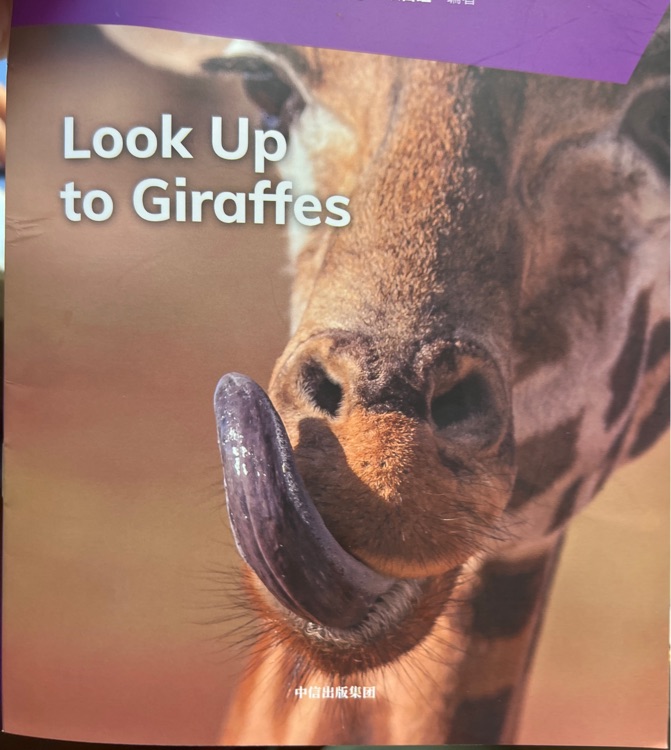 Look up to giraffes