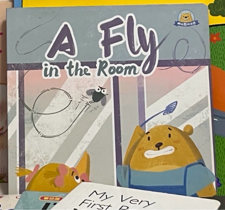 A Fly in the Room